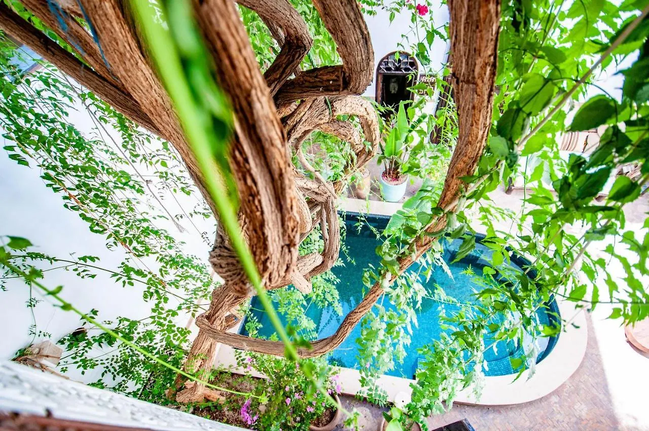 ****  Hotel & Spa Riad Dar El Aila Marrakesh Maroc