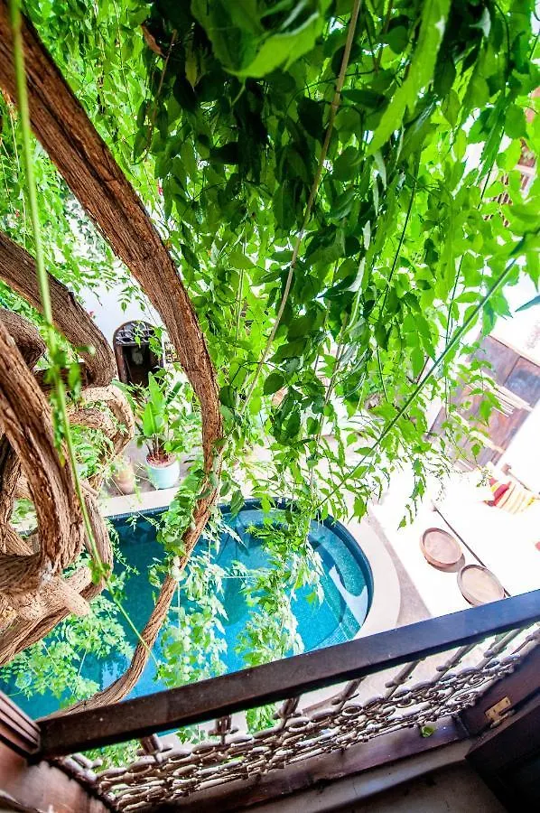 Hotel & Spa Riad Dar El Aila Marrakesh Maroc