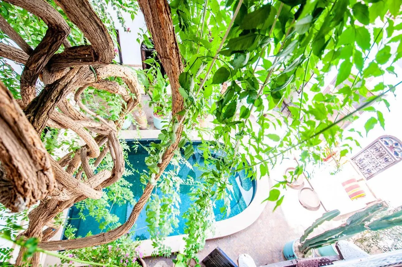 Hotel&Spa Riad Dar El Aila Marrakesh